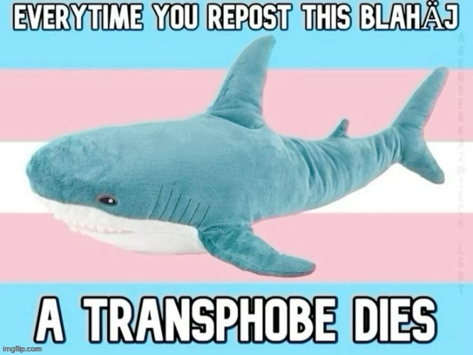 Transphobe killing Blahaj | image tagged in transphobe killing blahaj | made w/ Imgflip meme maker