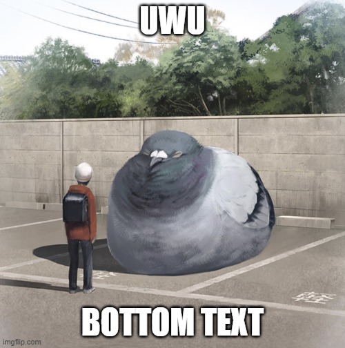 Beeg Birb | UWU; BOTTOM TEXT | image tagged in beeg birb | made w/ Imgflip meme maker