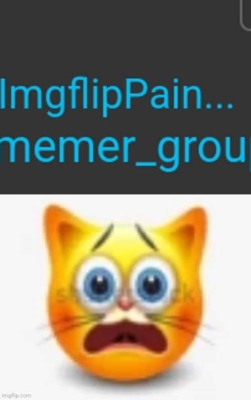 image tagged in cat stock emoji scared | made w/ Imgflip meme maker