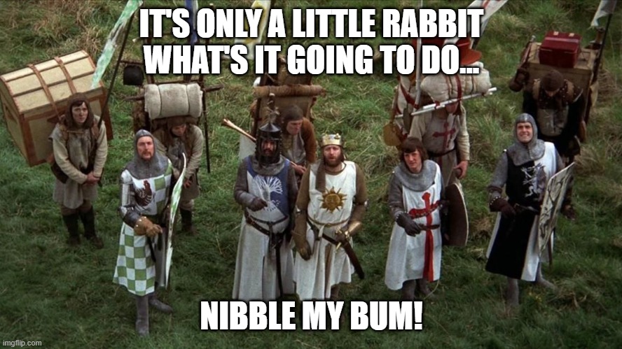 Only a Little Rabbit | IT'S ONLY A LITTLE RABBIT
WHAT'S IT GOING TO DO... NIBBLE MY BUM! | image tagged in monty python and the holy grail,satire | made w/ Imgflip meme maker