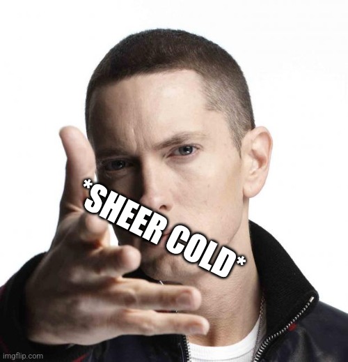 *SHEER COLD* | image tagged in eminem video game logic | made w/ Imgflip meme maker