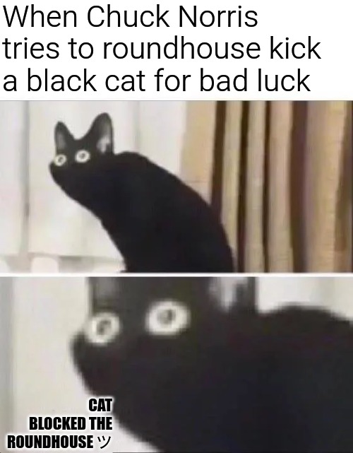 Clash of the Titans | When Chuck Norris tries to roundhouse kick a black cat for bad luck; CAT BLOCKED THE ROUNDHOUSE ツ | image tagged in oh no black cat,funny,funny memes,fun,cats,chuck norris | made w/ Imgflip meme maker