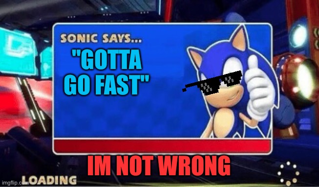 Sonic Says | "GOTTA GO FAST"; IM NOT WRONG | image tagged in sonic says | made w/ Imgflip meme maker