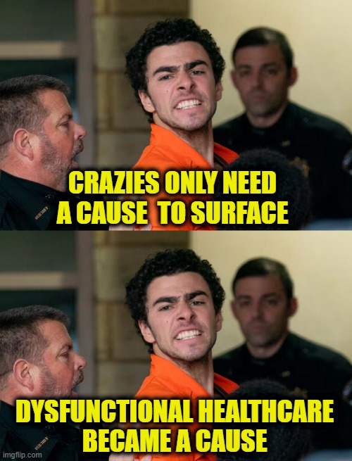 Are there others out there? | CRAZIES ONLY NEED
A CAUSE  TO SURFACE; DYSFUNCTIONAL HEALTHCARE
BECAME A CAUSE | image tagged in healthcare | made w/ Imgflip meme maker