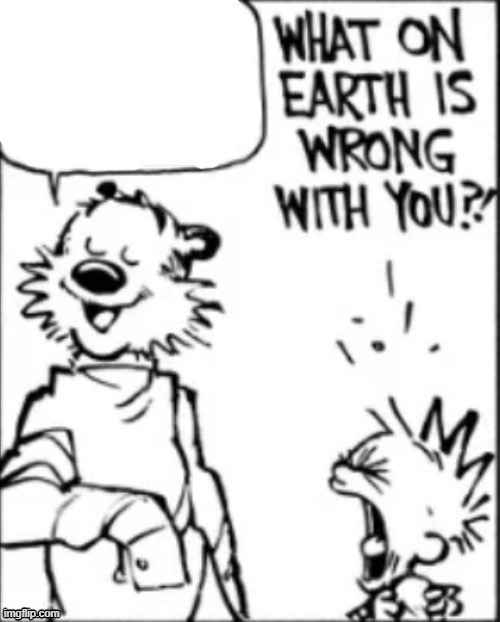 What on earth is wrong with you | image tagged in what on earth is wrong with you | made w/ Imgflip meme maker