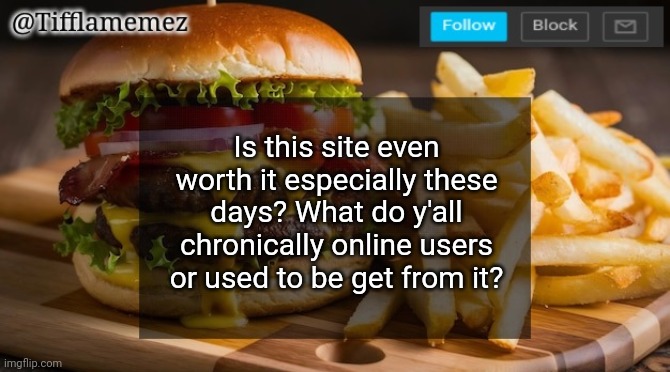 Worth it? No? | Is this site even worth it especially these days? What do y'all chronically online users or used to be get from it? | image tagged in tifflamemez burger and fries announcement template | made w/ Imgflip meme maker