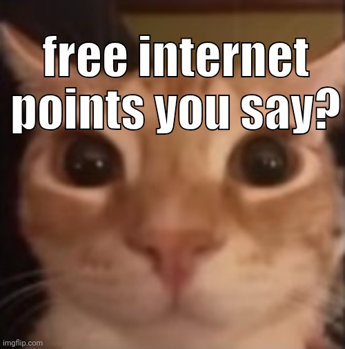 glungus | free internet points you say? | image tagged in glungus | made w/ Imgflip meme maker