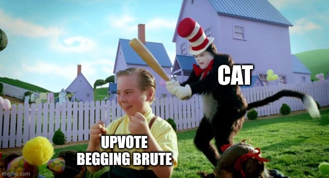 Cat & The Hat | CAT UPVOTE BEGGING BRUTE | image tagged in cat the hat | made w/ Imgflip meme maker