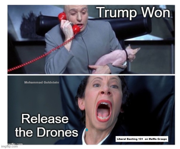 Trump Won - Release the Drones | image tagged in trump won,drones,joe biden,democrats,doctor evil | made w/ Imgflip meme maker