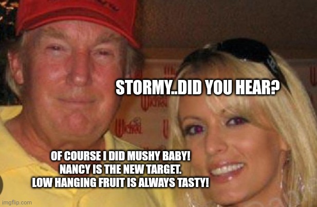 So now we get Pelosi memes shoved up our asses...nothing like original thought | STORMY..DID YOU HEAR? OF COURSE I DID MUSHY BABY!  NANCY IS THE NEW TARGET.  LOW HANGING FRUIT IS ALWAYS TASTY! | image tagged in side chick | made w/ Imgflip meme maker