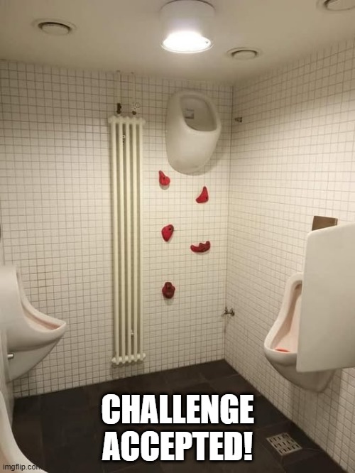 Challnge! | CHALLENGE ACCEPTED! | image tagged in funny,memes | made w/ Imgflip meme maker