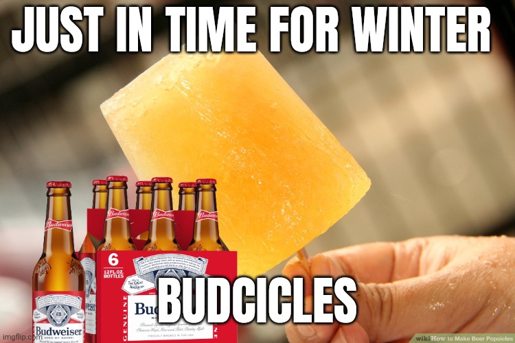 Beer memes | JUST IN TIME FOR WINTER; BUDCICLES | image tagged in beer | made w/ Imgflip meme maker