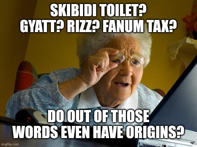 Origins of brainrot words | SKIBIDI TOILET? GYATT? RIZZ? FANUM TAX? DO OUT OF THOSE WORDS EVEN HAVE ORIGINS? | image tagged in memes,grandma finds the internet,why are you reading this,funny | made w/ Imgflip meme maker