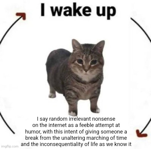 i wake up cat | I say random irrelevant nonsense on the internet as a feeble attempt at humor, with this intent of giving someone a break from the unaltering marching of time and the inconsequentiality of life as we know it | image tagged in i wake up cat | made w/ Imgflip meme maker