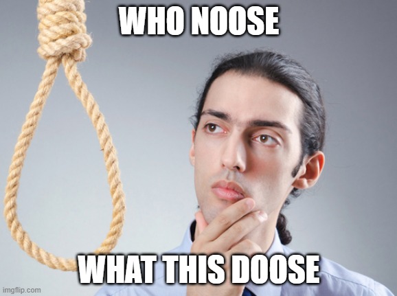 noose | WHO NOOSE; WHAT THIS DOOSE | image tagged in noose | made w/ Imgflip meme maker