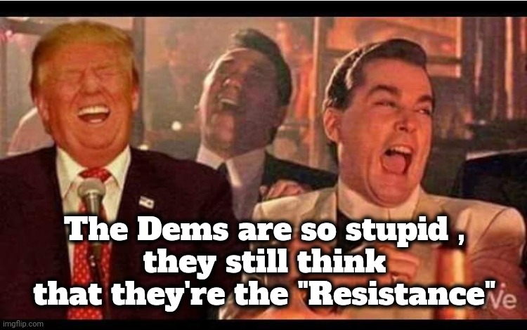 Trump Good Fellas | The Dems are so stupid ,
they still think that they're the "Resistance" | image tagged in trump good fellas | made w/ Imgflip meme maker