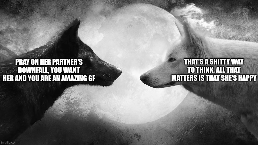 this is also somehow the 2 coins meme | PRAY ON HER PARTNER'S DOWNFALL, YOU WANT HER AND YOU ARE AN AMAZING GF; THAT'S A SHITTY WAY TO THINK, ALL THAT MATTERS IS THAT SHE'S HAPPY | image tagged in you have two wolves | made w/ Imgflip meme maker