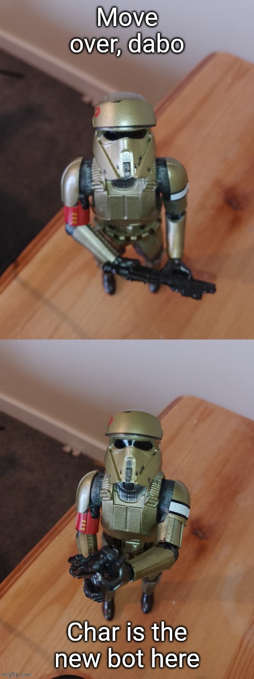 Shoretrooper looks at you | Move over, dabo; Char is the new bot here | image tagged in shoretrooper looks at you | made w/ Imgflip meme maker