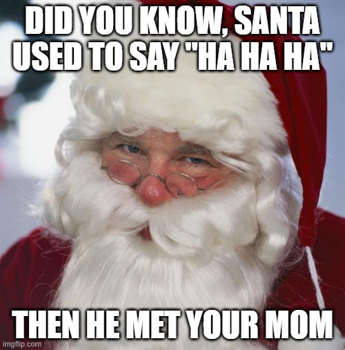 Ho Ho Ho | DID YOU KNOW, SANTA USED TO SAY "HA HA HA"; THEN HE MET YOUR MOM | image tagged in santa claus | made w/ Imgflip meme maker