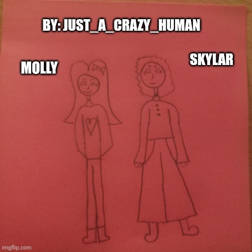 A little drawing I made of my Ocs, Molly and Skylar. | BY: JUST_A_CRAZY_HUMAN; SKYLAR; MOLLY | image tagged in ocs,idk | made w/ Imgflip meme maker