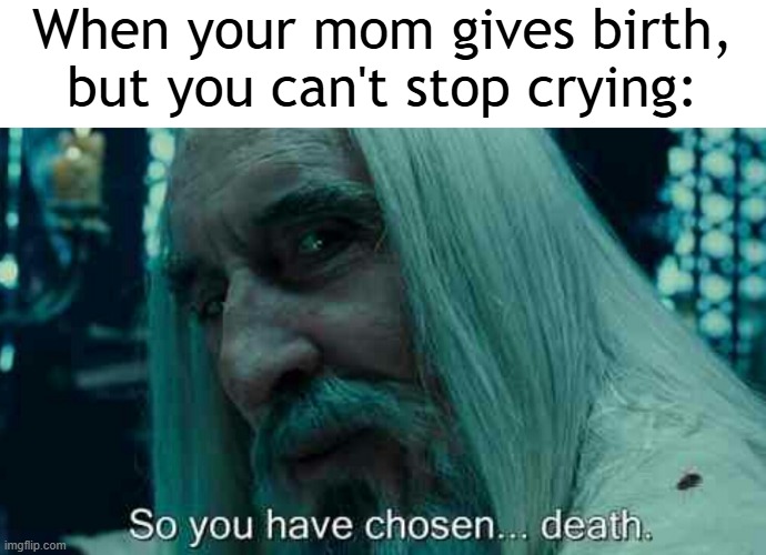 I want to stop crying | When your mom gives birth, but you can't stop crying: | image tagged in so you have chosen death,memes,funny | made w/ Imgflip meme maker