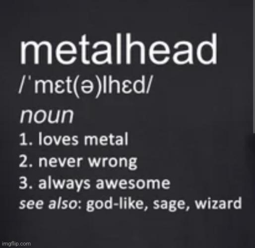 metalhead | image tagged in music,love it,can't go wrong,noun,well it knows i'm never wrong,gotta love it | made w/ Imgflip meme maker