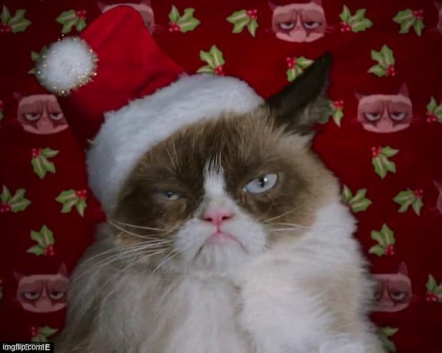 Grumpy Cat Christmas | image tagged in grumpy cat christmas | made w/ Imgflip meme maker