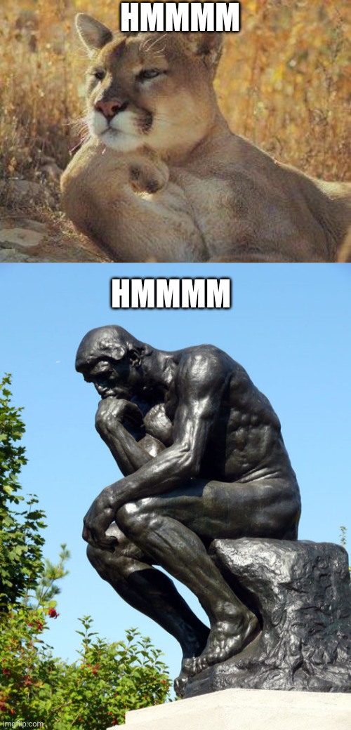 HMMMM; HMMMM | image tagged in a cougar chillin,the thinker | made w/ Imgflip meme maker