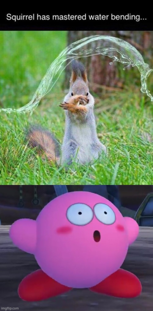I hope it is possible to learn this power! O_O | image tagged in squirrel,water | made w/ Imgflip meme maker