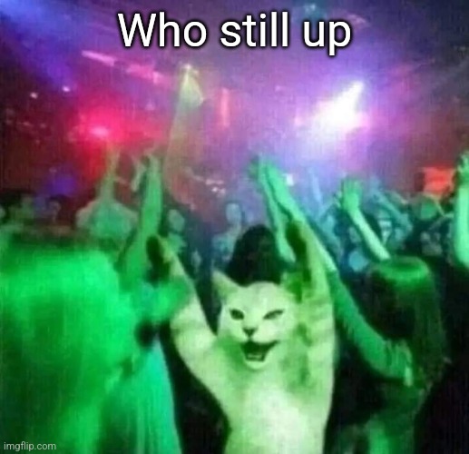 Dancing Cat | Who still up | image tagged in dancing cat | made w/ Imgflip meme maker