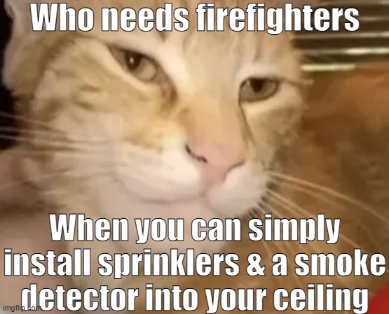 cat mewing | Who needs firefighters; When you can simply install sprinklers & a smoke detector into your ceiling | made w/ Imgflip meme maker