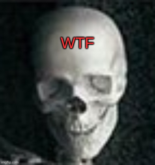 Skull | WTF | image tagged in skull | made w/ Imgflip meme maker