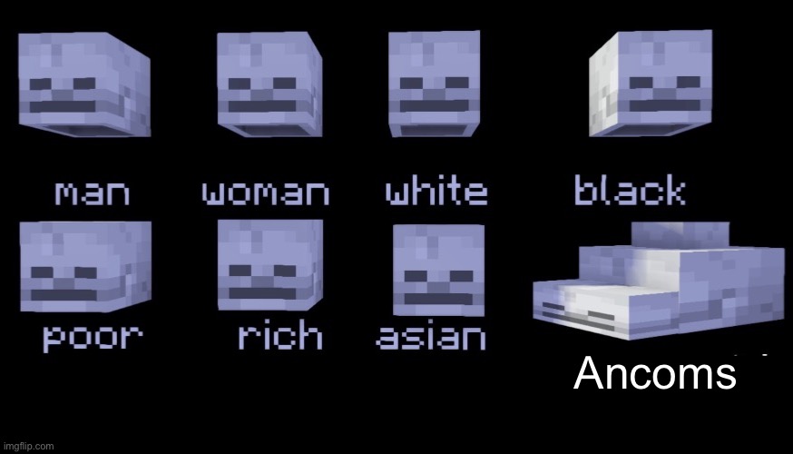 Ancom societies are unemployment and excuses to steal | Ancoms | image tagged in empty skulls of truth minecraft | made w/ Imgflip meme maker