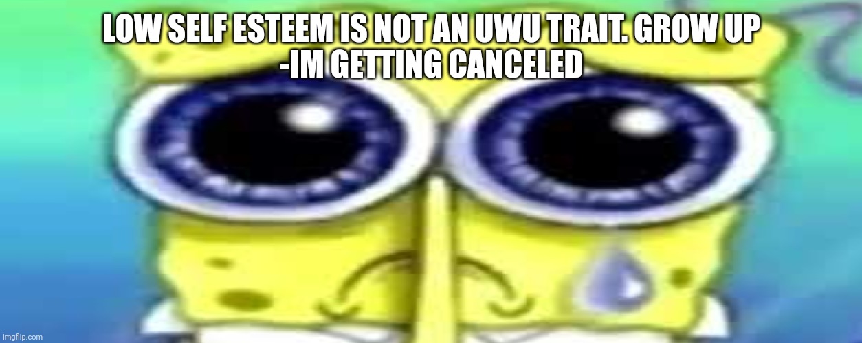 Sad Spong | LOW SELF ESTEEM IS NOT AN UWU TRAIT. GROW UP
-IM GETTING CANCELED | image tagged in sad spong | made w/ Imgflip meme maker