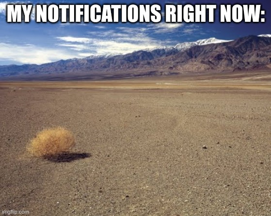 X_X | MY NOTIFICATIONS RIGHT NOW: | image tagged in desert tumbleweed | made w/ Imgflip meme maker