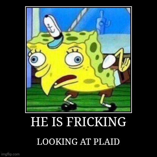 HE IS FRICKING | LOOKING AT PLAID | image tagged in funny,demotivationals | made w/ Imgflip demotivational maker