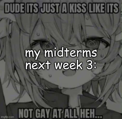 silly | my midterms next week 3: | image tagged in silly | made w/ Imgflip meme maker