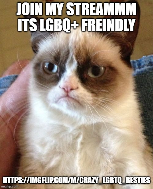 hi | JOIN MY STREAMMM ITS LGBQ+ FREINDLY; HTTPS://IMGFLIP.COM/M/CRAZY_LGBTQ_BESTIES | image tagged in memes,grumpy cat | made w/ Imgflip meme maker