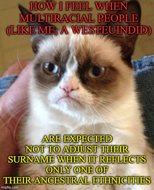 Grumpy Cat Meme | HOW I FEEL WHEN MULTIRACIAL PEOPLE (LIKE ME, A WESTEUINDID); ARE EXPECTED NOT TO ADJUST THEIR SURNAME WHEN IT REFLECTS ONLY ONE OF THEIR ANCESTRAL ETHNICITIES | image tagged in memes,grumpy cat | made w/ Imgflip meme maker