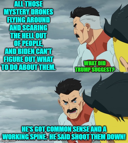 It's not rocket-science . . . unless you are a leftist. | ALL THOSE MYSTERY DRONES FLYING AROUND AND SCARING THE HELL OUT OF PEOPLE, AND BIDEN CAN'T FIGURE OUT WHAT TO DO ABOUT THEM. WHAT DID TRUMP SUGGEST? HE'S GOT COMMON SENSE AND A WORKING SPINE.  HE SAID SHOOT THEM DOWN! | image tagged in yep | made w/ Imgflip meme maker