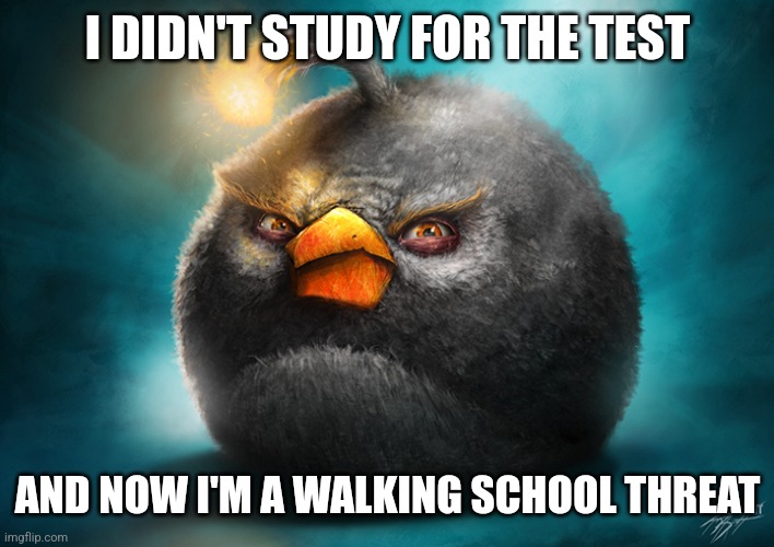 School threat | I DIDN'T STUDY FOR THE TEST; AND NOW I'M A WALKING SCHOOL THREAT | image tagged in realistic bomb angry bird | made w/ Imgflip meme maker