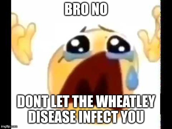 cursed crying emoji | BRO NO DONT LET THE WHEATLEY DISEASE INFECT YOU | image tagged in cursed crying emoji | made w/ Imgflip meme maker