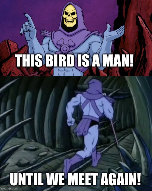 THIS BIRD IS A MAN! UNTIL WE MEET AGAIN! | image tagged in skeletor until we meet again | made w/ Imgflip meme maker