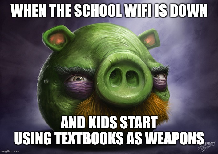 Realistic angry birds | WHEN THE SCHOOL WIFI IS DOWN; AND KIDS START USING TEXTBOOKS AS WEAPONS | image tagged in realistic angry birds | made w/ Imgflip meme maker