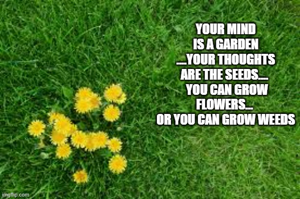 memes by Brad - Inspirational poem on life | YOUR MIND IS A GARDEN ....YOUR THOUGHTS ARE THE SEEDS.... 
 YOU CAN GROW FLOWERS...  OR YOU CAN GROW WEEDS | image tagged in fun,poem,inspirational,positive thinking,negative | made w/ Imgflip meme maker