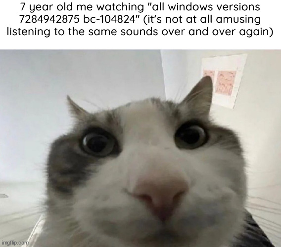 Cat looking inside | 7 year old me watching "all windows versions 7284942875 bc-104824" (it's not at all amusing listening to the same sounds over and over again) | image tagged in cat looking inside | made w/ Imgflip meme maker