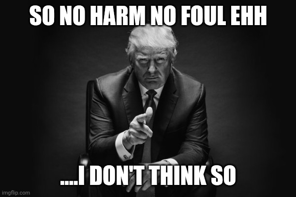 Justice will prevail | SO NO HARM NO FOUL EHH; ....I DON'T THINK SO | image tagged in donald trump thug life | made w/ Imgflip meme maker