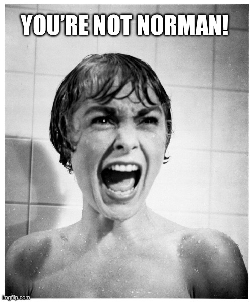 Psycho Shower | YOU’RE NOT NORMAN! | image tagged in psycho shower | made w/ Imgflip meme maker