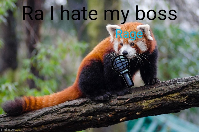 Ra I hate my boss; Rage | made w/ Imgflip meme maker