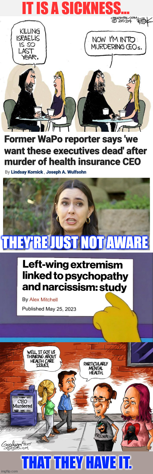 Better healthcare? Yes... the US needs better mental health care. | IT IS A SICKNESS... THEY'RE JUST NOT AWARE; THAT THEY HAVE IT. | image tagged in unaware,they have mental problems | made w/ Imgflip meme maker